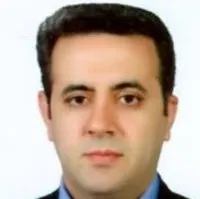 سیدمحسن میر