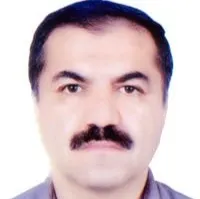 دکتر محمد فاضلی کبریا