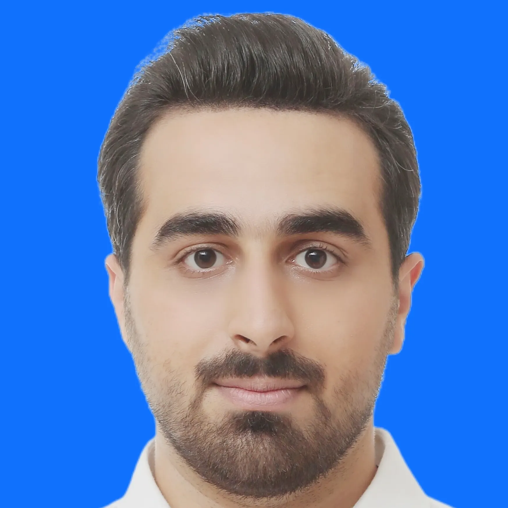 دکتر سیدمبین میردیلمی