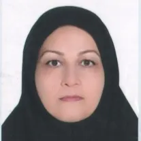 نسرین نورمحمدی صدر