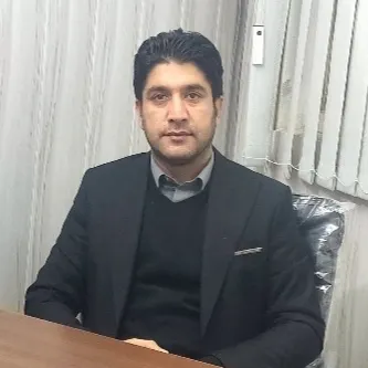 هادی شاهینی