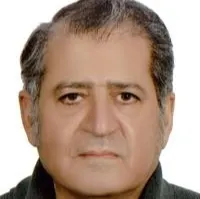 دکتر سیدمحمدجواد سنادی زاده