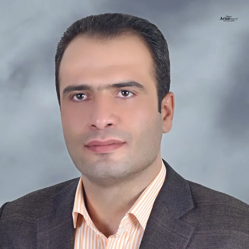 حسین حبیبی