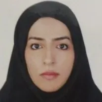 افروز میر