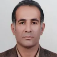 مجید غلامی شندی