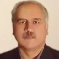 علیرضا ملک خانی
