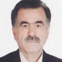 دکتر محمدتقی مهراب پور