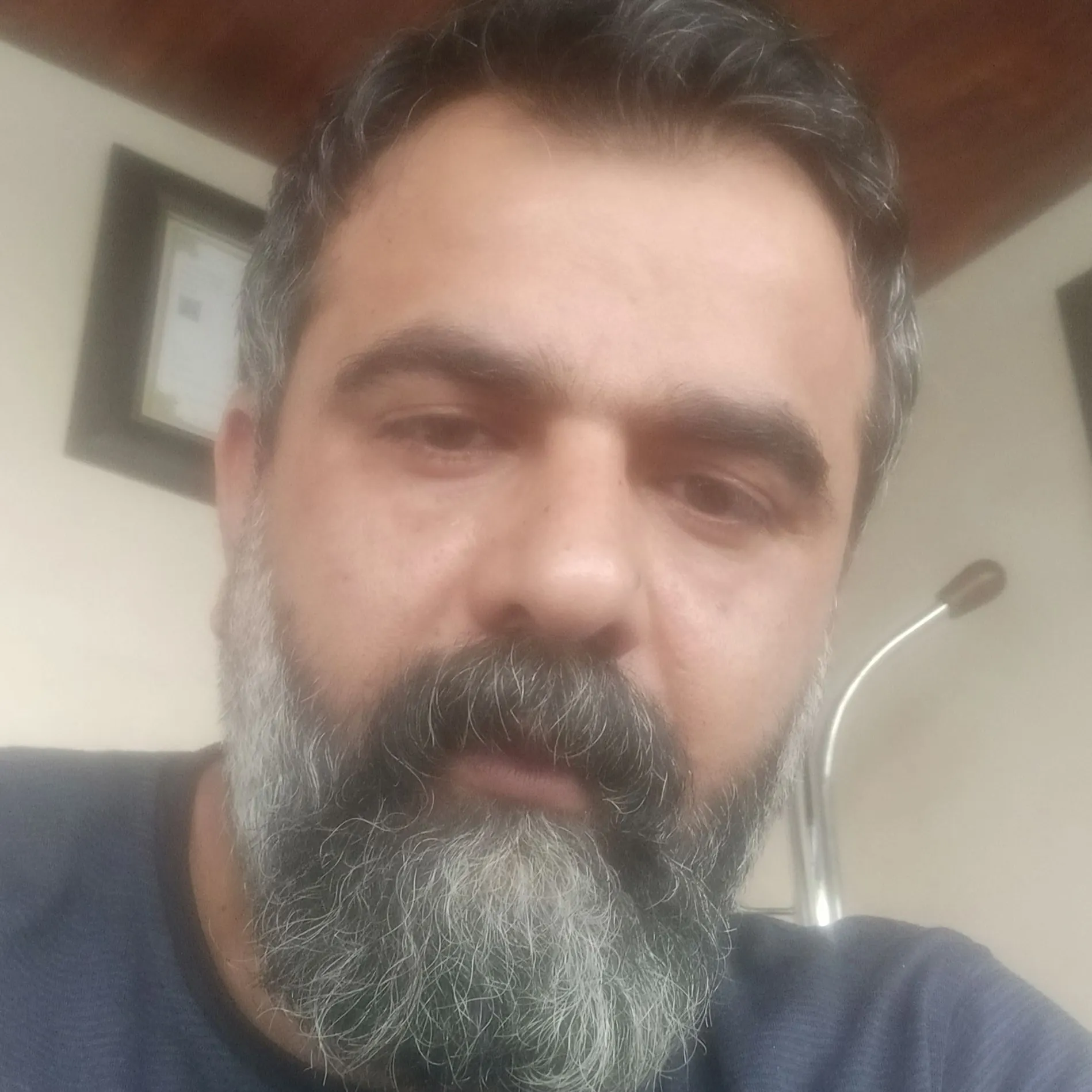 احمد دولت آبادی