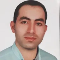 حامد سیفی زاده آرانی