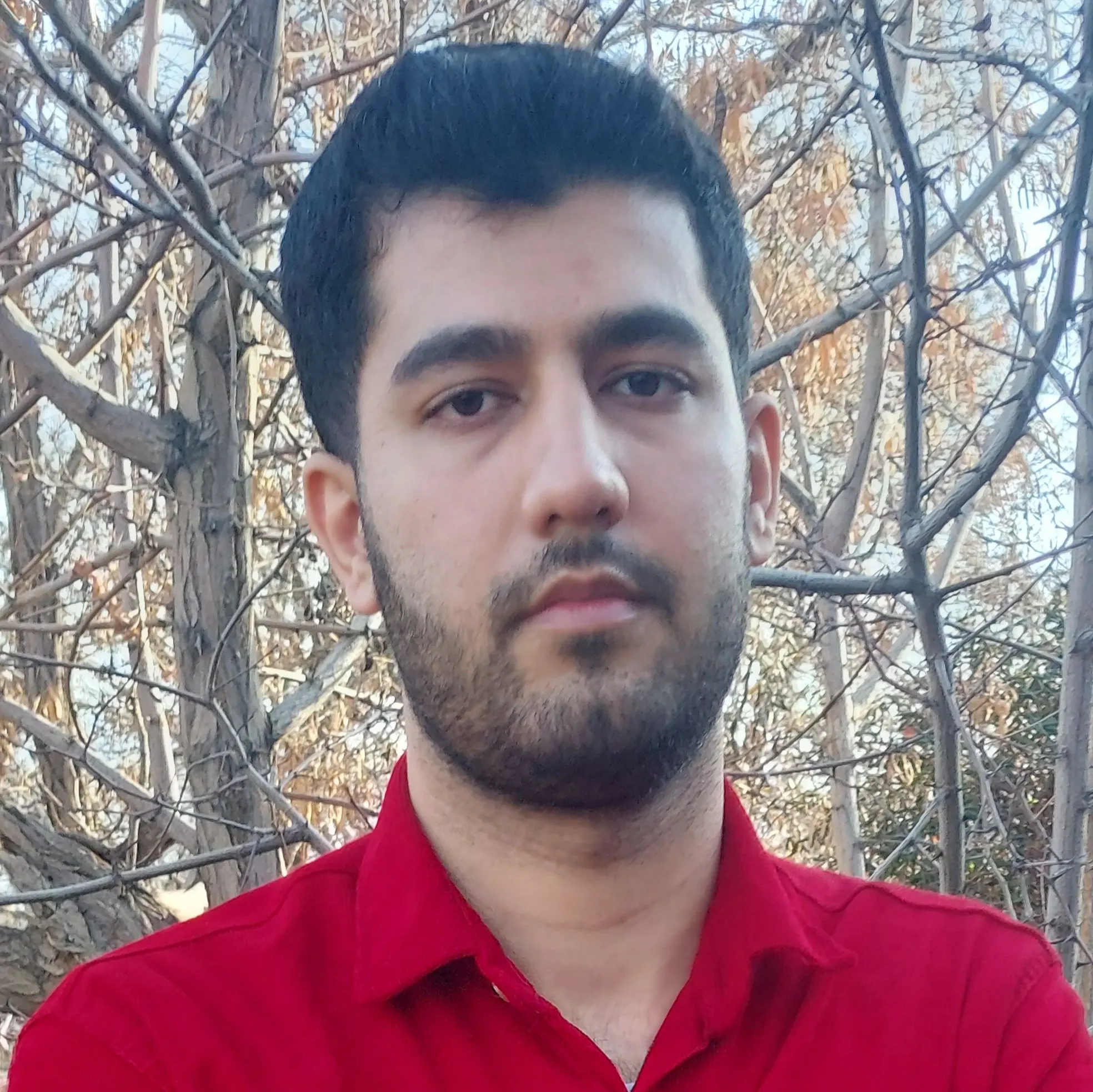امیرحسین عباسی