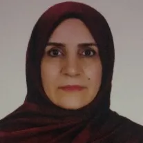 طلعت رافعی