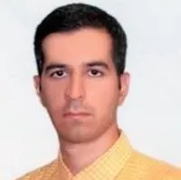 دکتر محمدرضا گمرکی