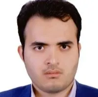 دکتر مصطفی ضیاءالدینی