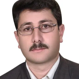 وحید افضلی گروه