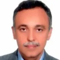 دکتر دینیار رشیدی