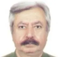دکتر علیرضا صولتی