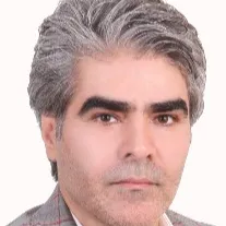 دکتر محمدرضا بیات