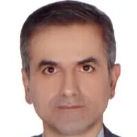 دکتر حسین سلمان نژاد