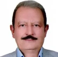 دکتر هادی رجبی