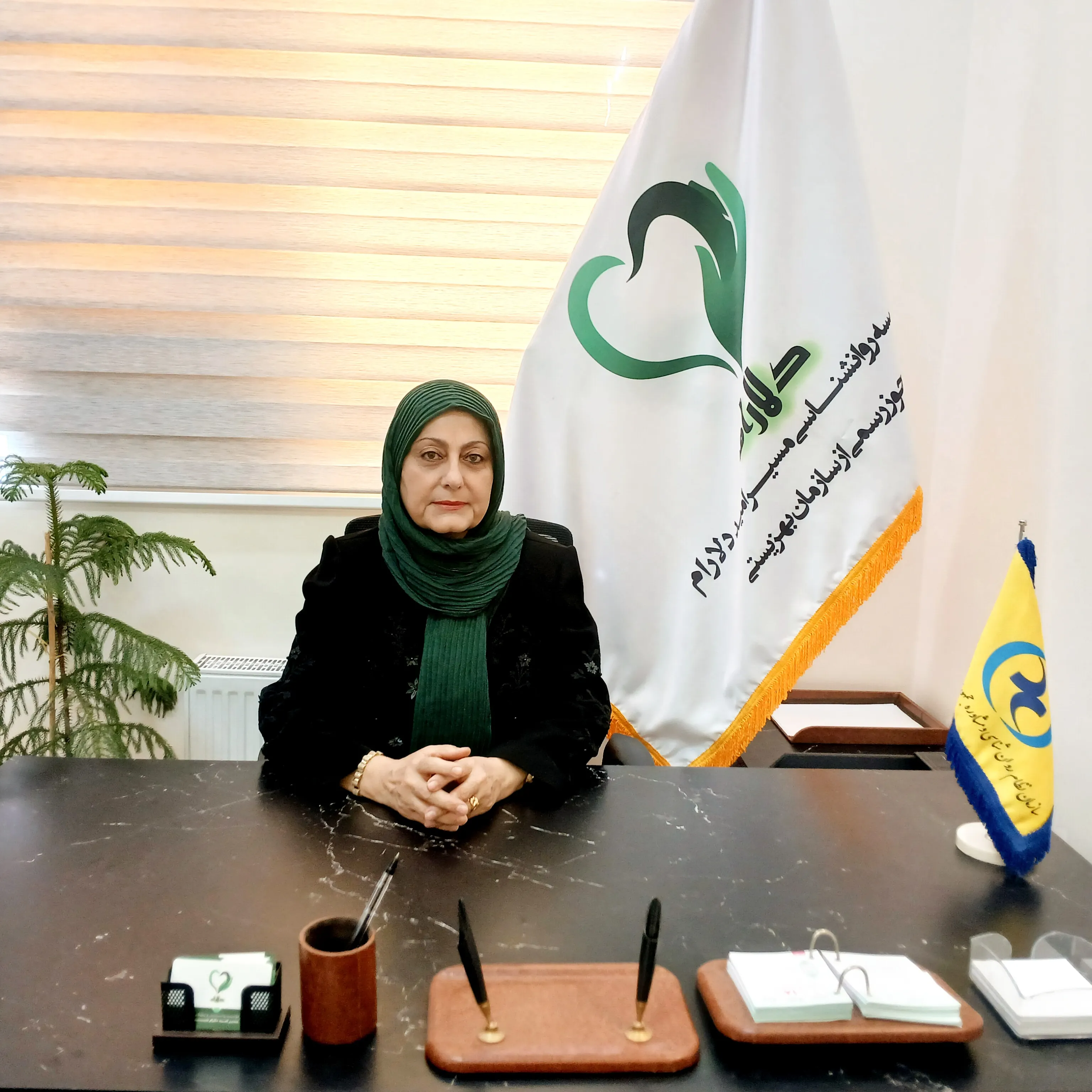 سیما احمدزاده
