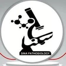آزمایشگاه سینا یزد