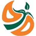 کلینیک روانشناسی کلبه هنر زندگی