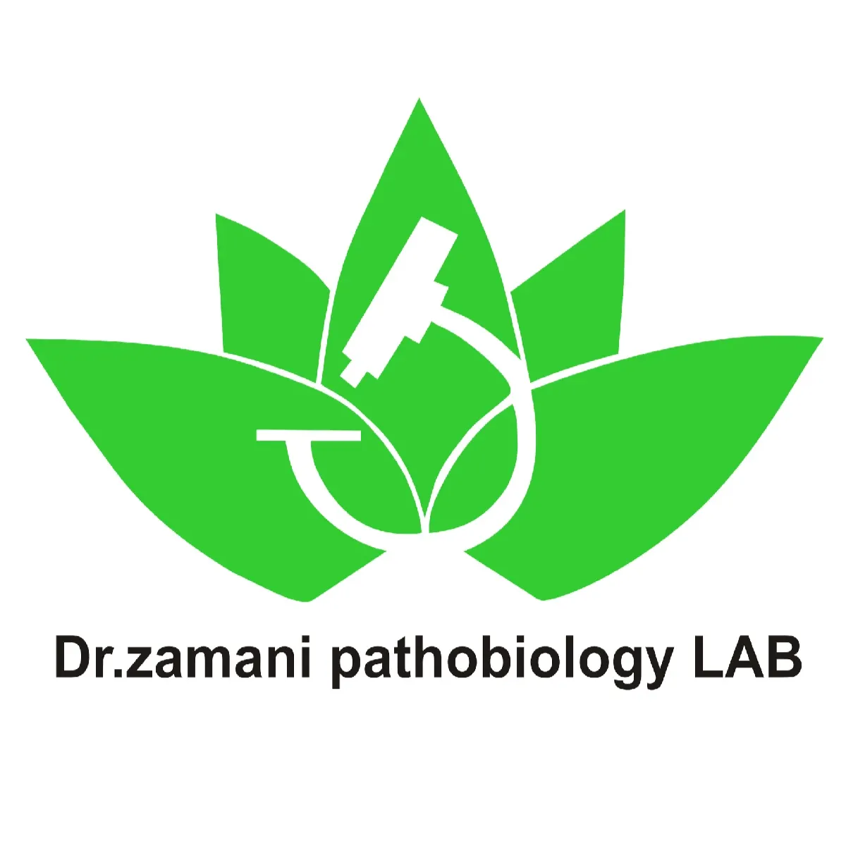 آزمایشگاه دکتر زمانی بهبهان