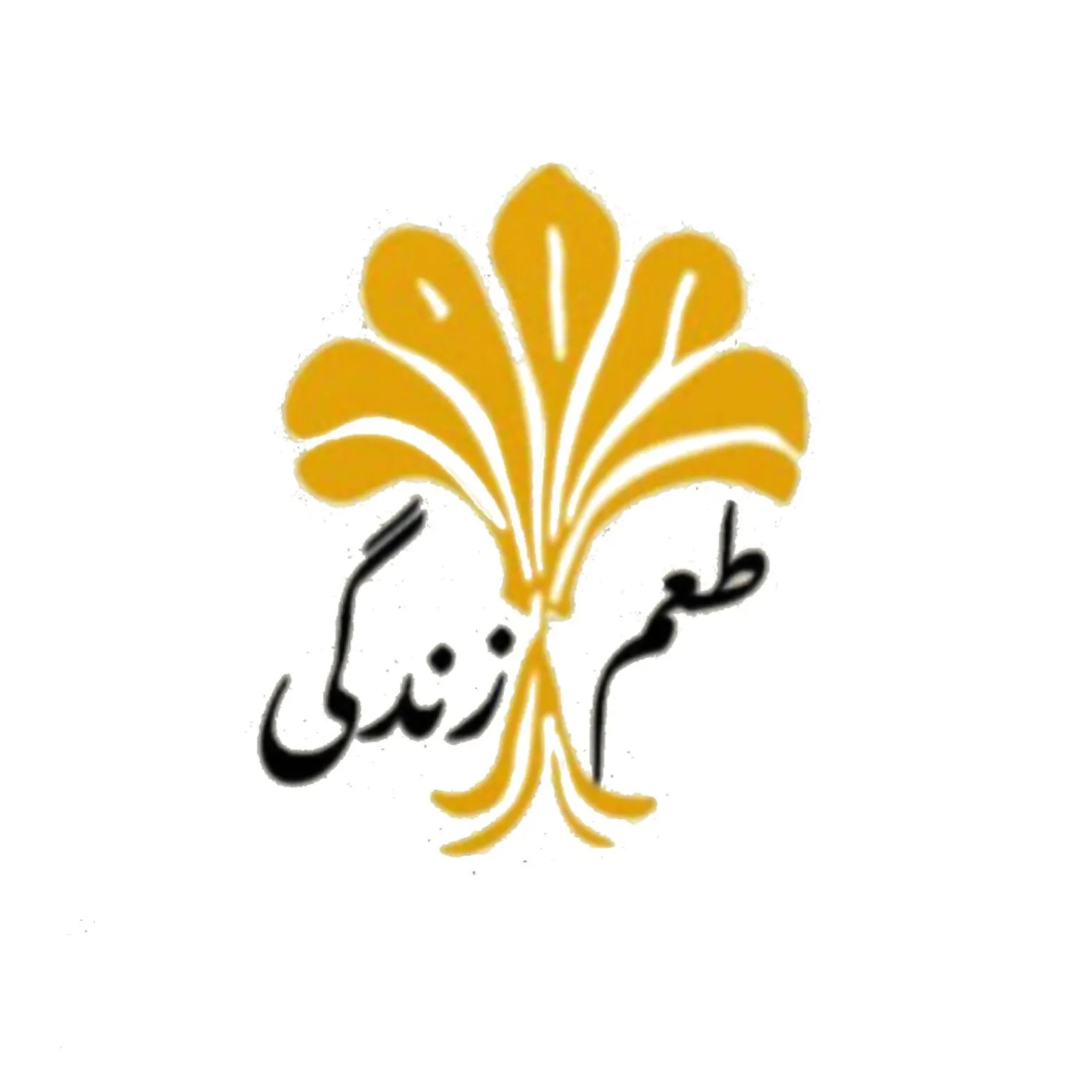 مرکز تخصصی مشاوره طعم زندگی قم