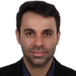 دکتر حمیدرضا محمودی