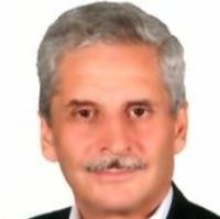 دکتر محمد اسلامی وقار