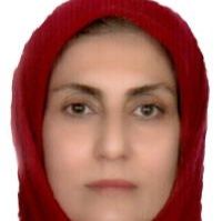دکتر خدیجه ابراهیم نژادآقمشهدی
