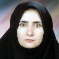 دکتر خدیجه کرمی محمدی