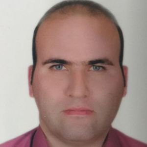 رضا حسنی