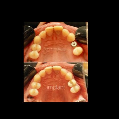 دکتر فرزانه مرتضوی فر 2