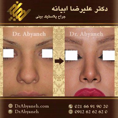 دکتر علیرضا ابیانه 2