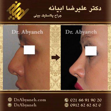 دکتر علیرضا ابیانه 1