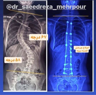 دکتر سعیدرضا مهرپورمحمدآبادی 2