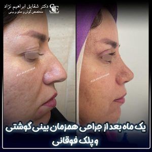 دکتر شقایق ابراهیم نژادقدسی 1