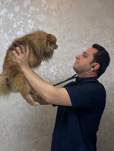 کلینیک دامپزشکی دکتر سینا صلواتی 2