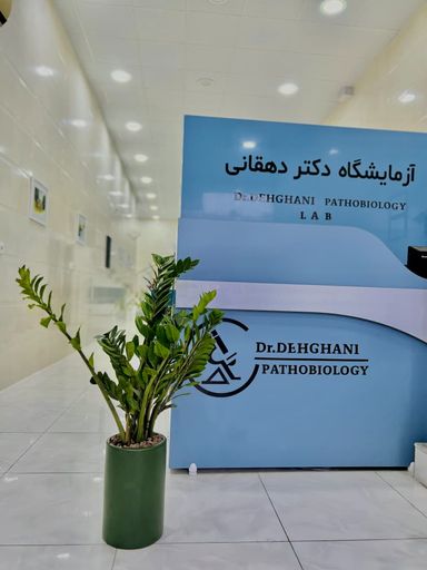 آزمایشگاه دکتر دهقانی کازرون 6