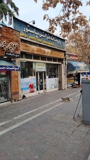 داروخانه فرانس پاستور تهران 1