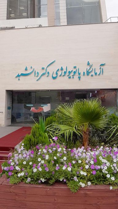 آزمایشگاه دانشبد شیراز 8
