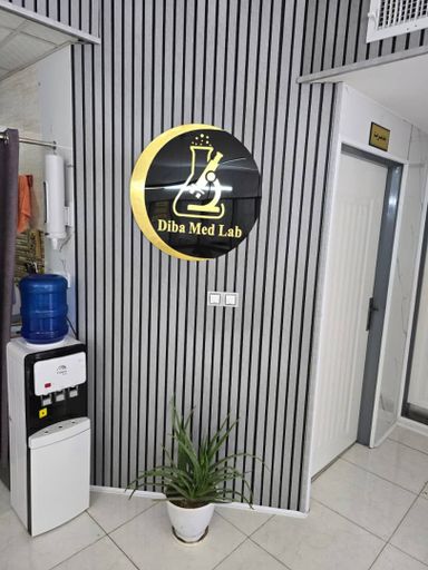 آزمایشگاه دیبا صدرا 6