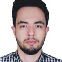 دکتر محمدمهدی ربیعی