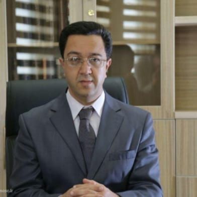 دکتر سیدمجدالدین میرزگر