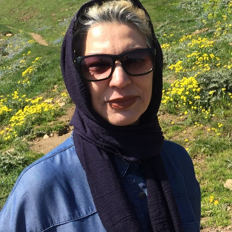 مهناز میرسلطانی