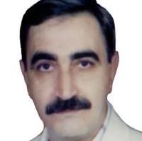 دکتر محمدحسین مسگرزاده