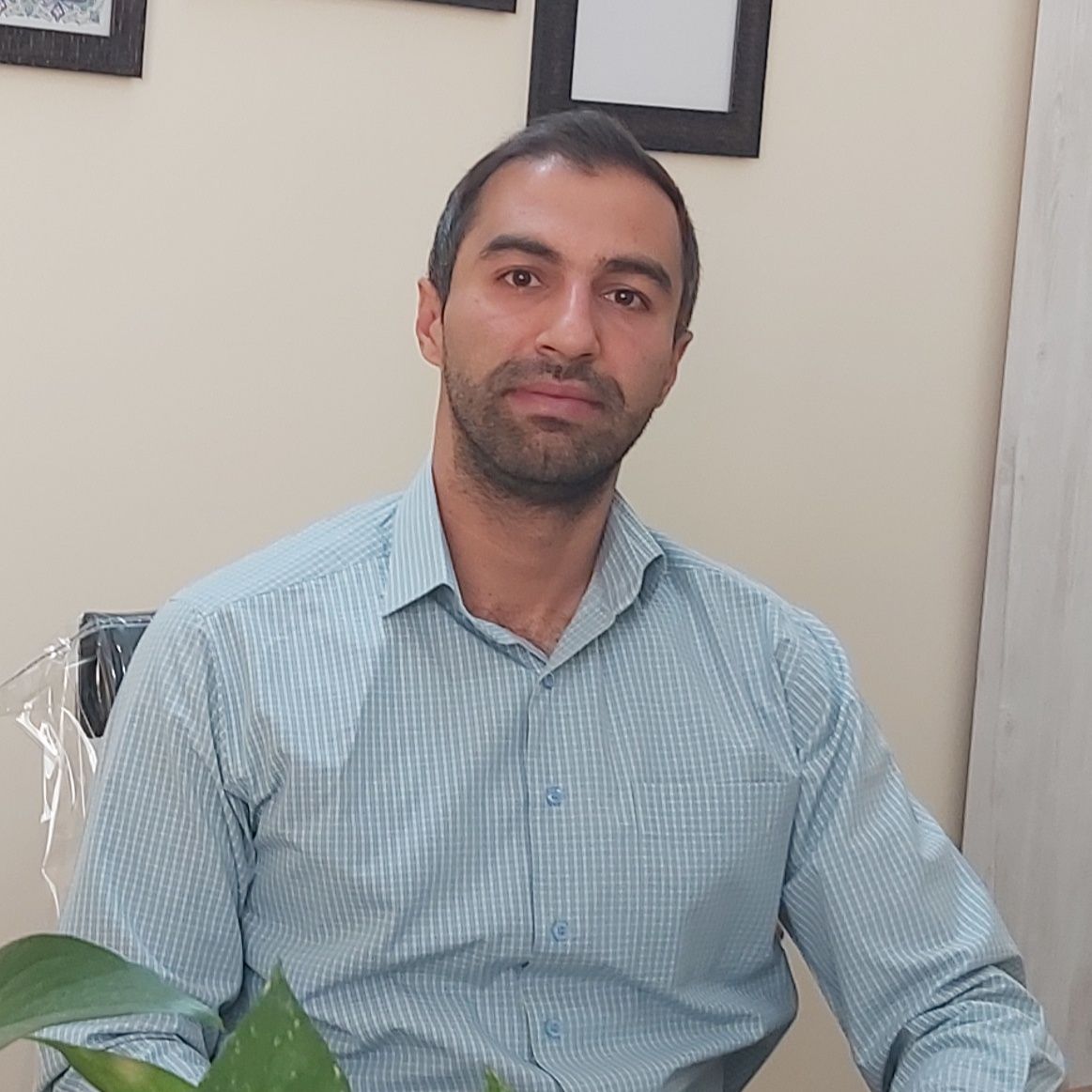 محمد وحید ایوبی