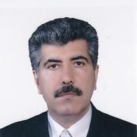 دکتر سیروس جوادی شهری
