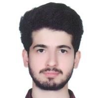 دکتر سید امیرمسعود شیدایی